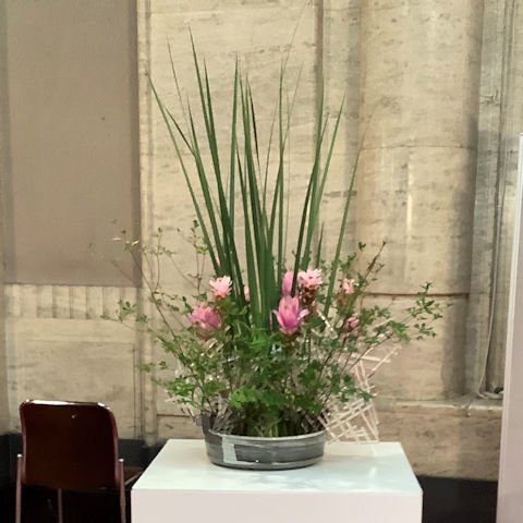 愛知県知事室、8月の花